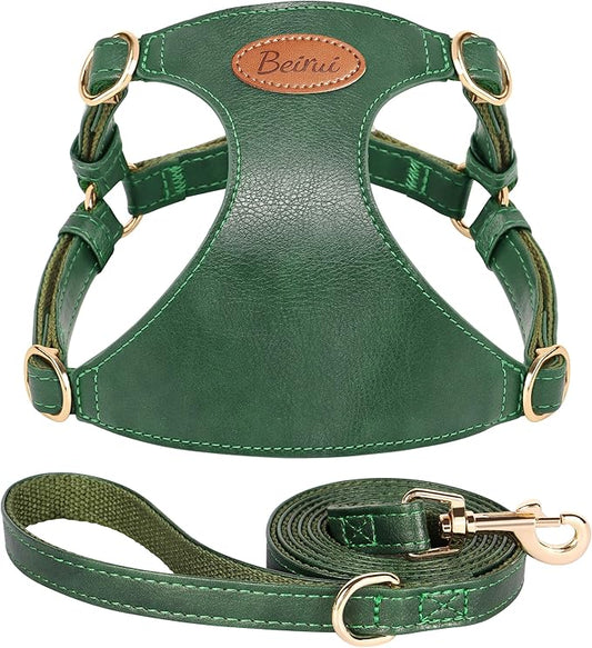 Beirui ‌Stylish PU Leather Dog Harness‌ and Leash Set for Small Dogs, ‌Adjustable Step in Dog Vest Harness with Breathable Mesh Lining and Durable Metal Buckle for Walking Traveling(Green,M)
