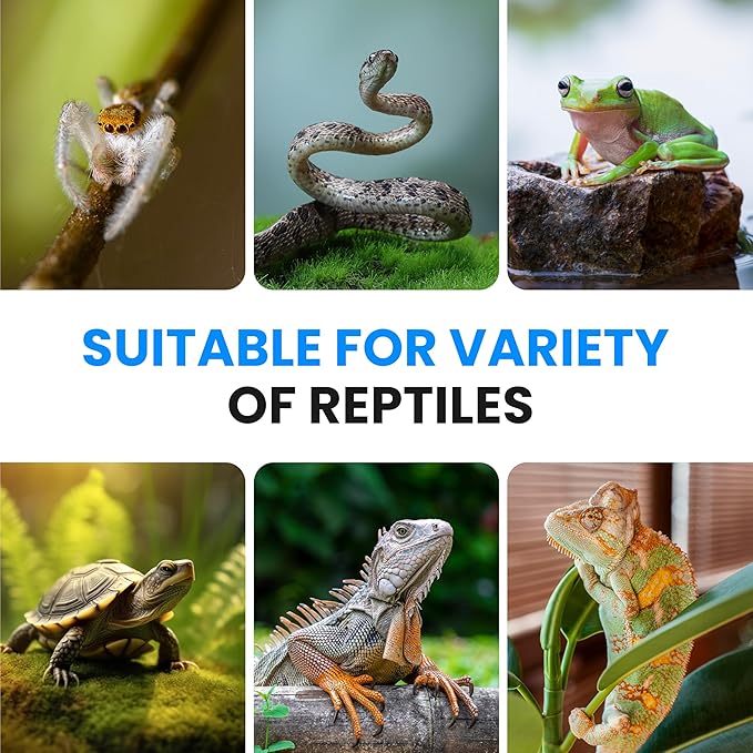 Simple Deluxe 8X12 Inch 16W Reptile Heating Pad Electric Indoor Under Tank Terrarium Heating Mat Waterproof for Turtles, Lizards, Frogs, and Other Reptiles, 2 Pack