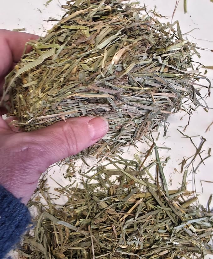 Timothy and Alfalfa Hay for Rabbits, Guinea Pigs and Hamsters, 60/40 Blend, Six 1 lb Bags, Natural Small Animal Forage, Montana Valley Hay, High Fiber Digestive Support For Daily Feeding Use
