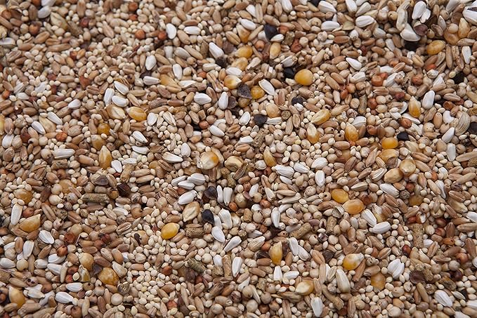 Dove Mix 20 lbs
