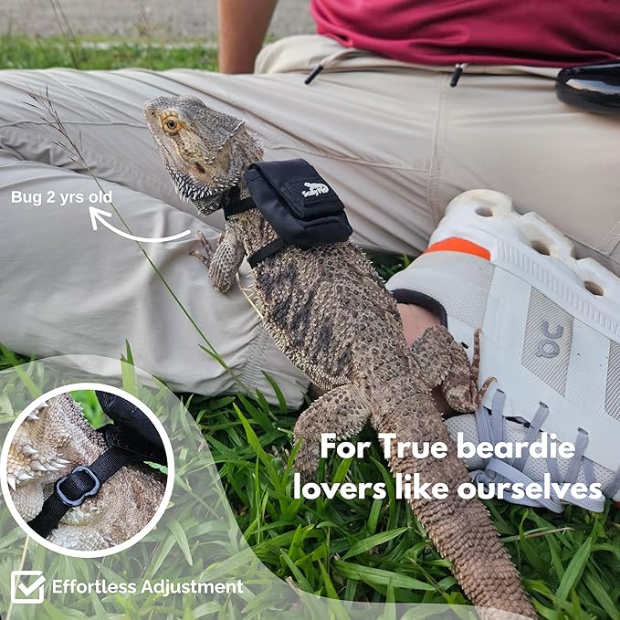 Bearded Dragon Leash and Harness Set, Leopard Gecko Leash, Wings & Butterfly Wings, Comfortable Fit, Retractable and Escape-Proof Lizard Harness and Leash, Bearded Dragon Accessories.