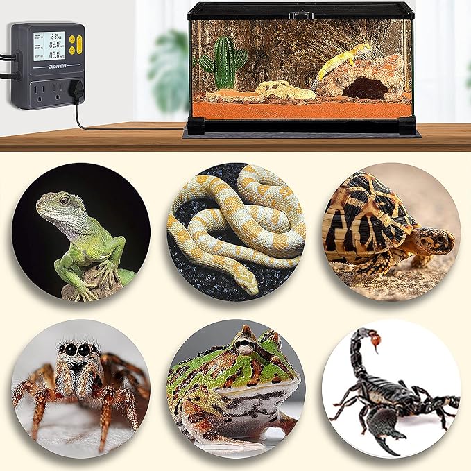 Reptile Temperature Controller, 3 Outlet Timer Thermostat for Grow Tent, Incubation, Snakes, Fish Tank, Heater, humidifiers, Ball Pythons, Bearded Dragon Tank
