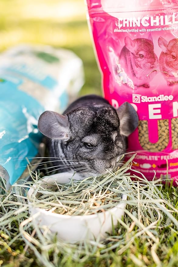 Standlee Western Alfalfa Hay Small Animal Food for Rabbits, Guinea Pigs, and Chinchillas, 12 lb. Box