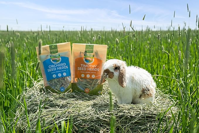 Timothy Seed Heads Small Pet Treat by Round Lake Farm