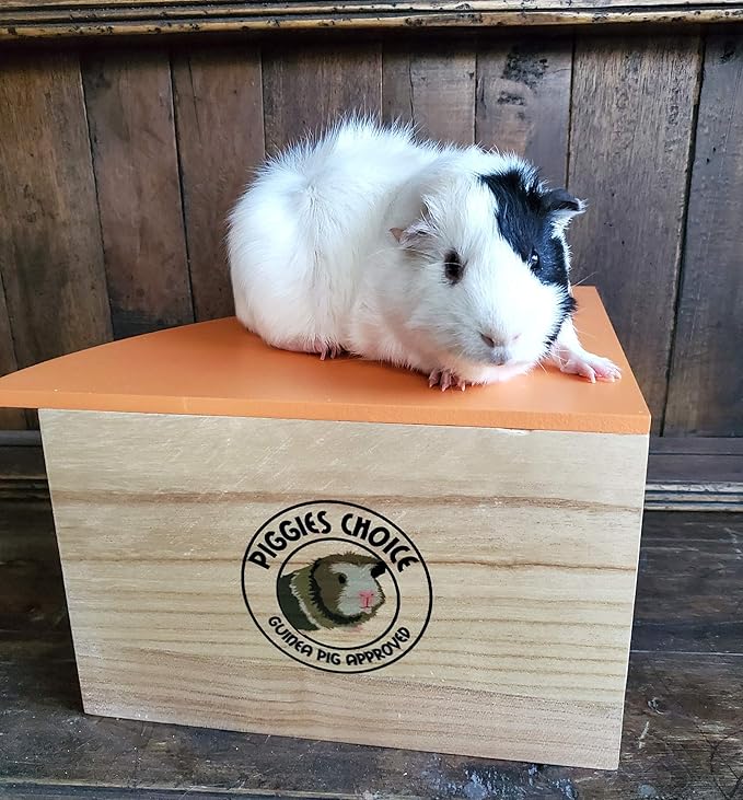 the Space House All Natural Sturdy Pine Wood Corner Hideout Hidey Guinea Pig Hut (Mango)
