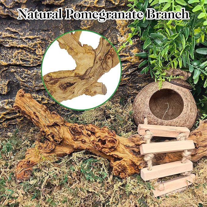 VCEPJH 2 Pack Reptile Wood Branches, Snake Climbing Branch Natural Bearded Dragon Log Tank Accessories Tree Trunk for Chameleon Gecko Snake Frog Spider