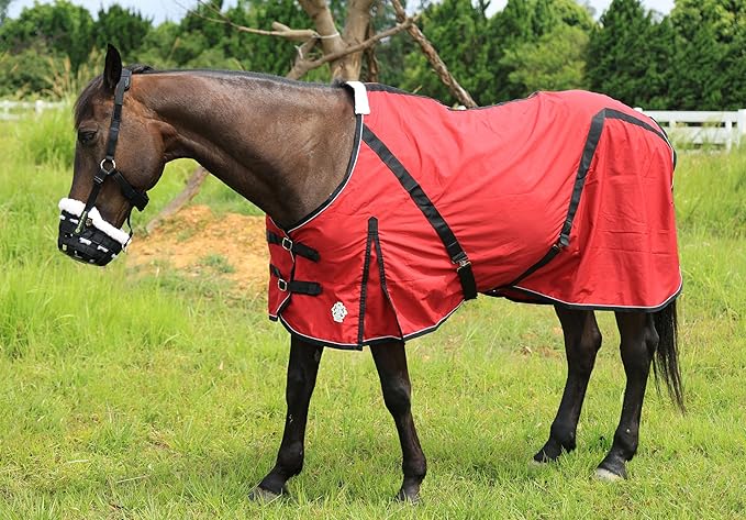 T TEKE Deluxe Horse Canvas Sheet for Snug and Clean in Stable, or as a Blanket Liner. (Size Range 51"-87" Including mini Horse)