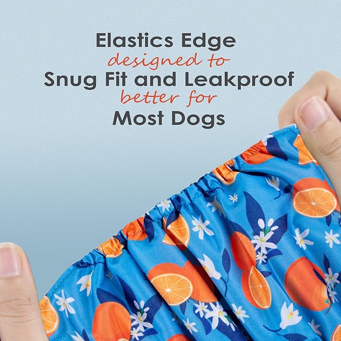 wegreeco Washable Male Dog Belly Band (Stylish Pattern)- Pack of 3 - Washable Male Dog Belly Wrap, Dog Diapers Male (Fruit, Large)