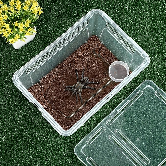 Irenare 8 Pcs Reptile Breeding Box Plastic Spider Terrarium Tarantula Feeding Box for Bearded Dragon Lizard Spider Gecko Scorpion(Vent Strips,Clear,10.6 x 7.4 x 4.7 Inch)