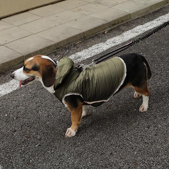 Vecomfy Fleece Lining Dog Hoodie with Harness Built in,Extra Warm Small Dog Jacket in Winter Puppy Coats with Drawstring Hooded,Green XS