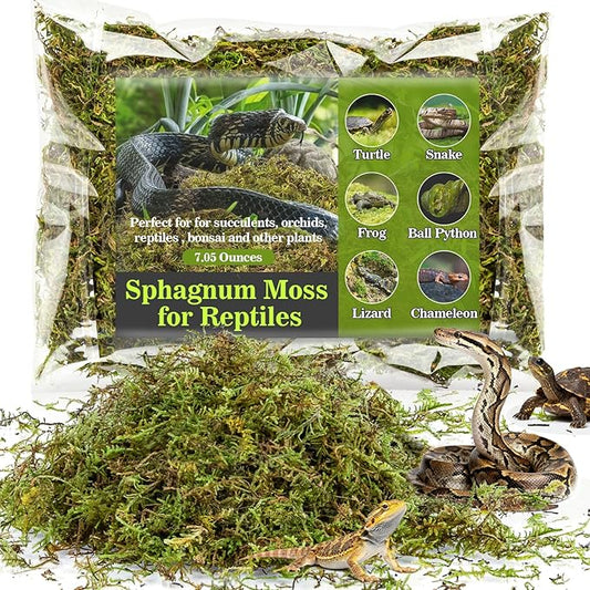 RAINFLOW Sphagnum Moss for Reptiles - 7 Oz Reptile Moss Peat Terrarium Moss Bedding Reptiles Lizard Substrate for Reptile Tank, Snake, Leopard Gecko, Ball Python, Crested Gecko, Turtle, Frog, Hamster