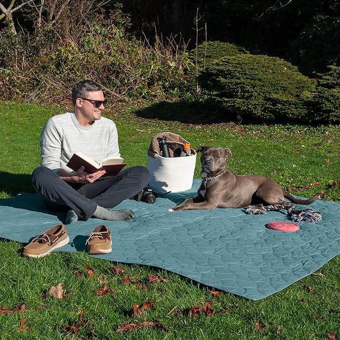 Furhaven Waterproof & Non-Slip King Size Mattress Cover Protector for Dogs & Cats, Washable, For Beds, Couches, & Car Seats - Quilted Twill Blanket Mattress Cover - Nile Blue, Jumbo/King Size