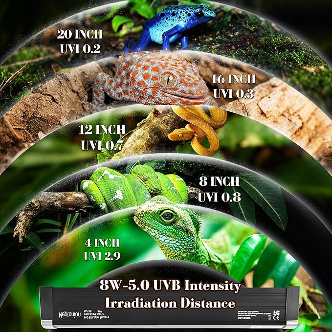 8W Reptile T5 HO UVB 12.5" 5.0 Light Fixture with Tube, Low-to-Moderate UVB Hood for Terrariums, Suitable for Arid Reptiles Like Leopard Gecko