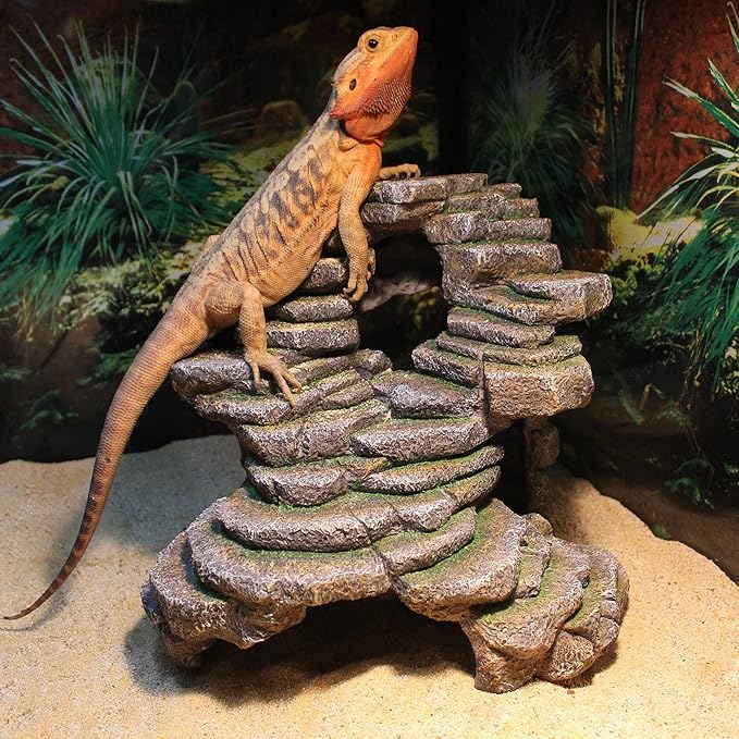 Penn-Plax Reptology Shale Scape Step Ledge & Cave Hideout - Durable Resin Reptile Platform for Climbing & Basking -Realistic Rock Decor for Territorial Fish & Reptiles -Blue Camo, 11.8 x 9.5 x 10.5 In