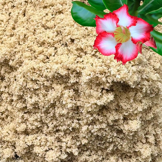 GARDENWISE Fine Sand for Plants – Horticultural Sand for Succulents, Cactus, Potting Mixes, Terrariums & Decorative Indoor Gardens, Made in USA (5 quarts - 14 lbs)
