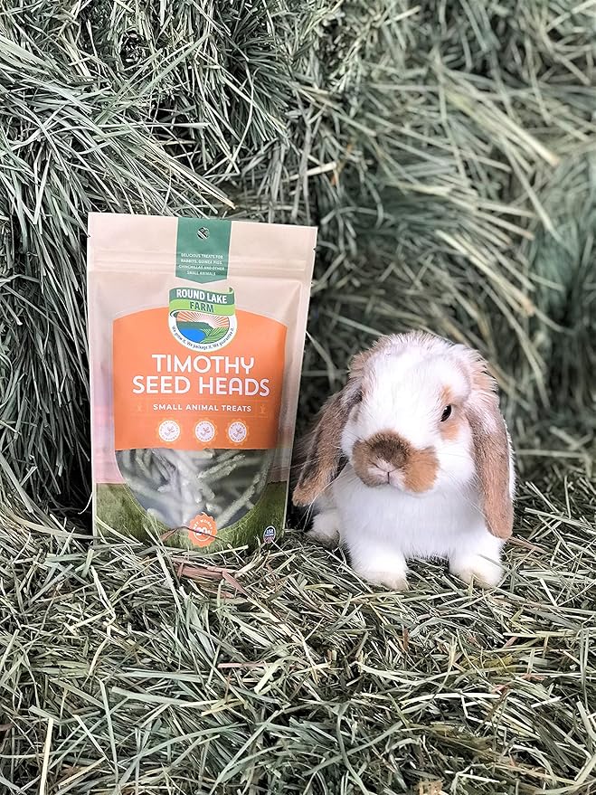Timothy Seed Heads Small Pet Treat by Round Lake Farm