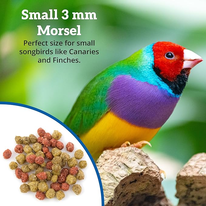 Scenic Allprem Canary and Finch Bird Food | Formulated Diet | Apple and Corn Flavor (2 lb (Pack of 2))