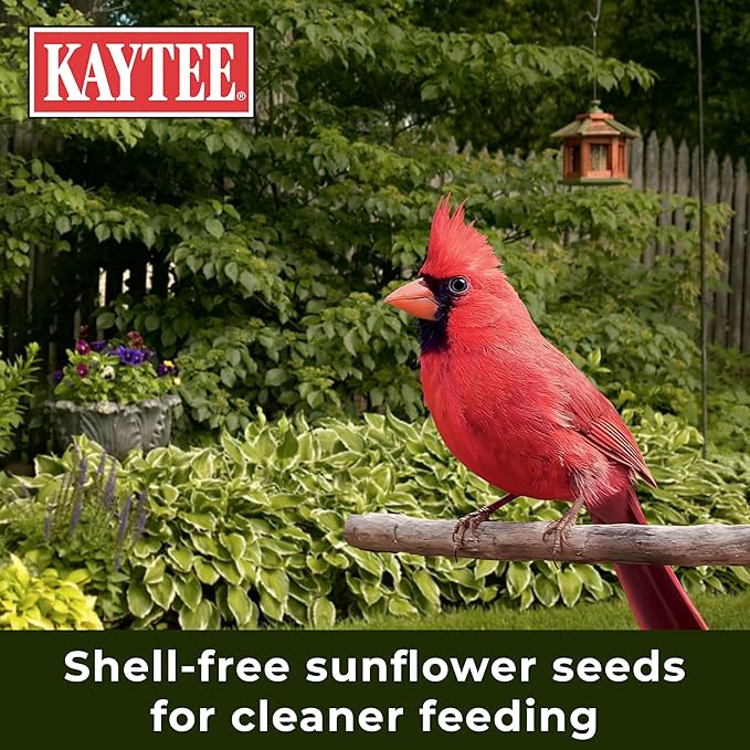Kaytee Wild Bird Food, 5.5 Pound | Waste Free | Nut and Fruit Blend | For Multiple Bird Species | Pack of 2