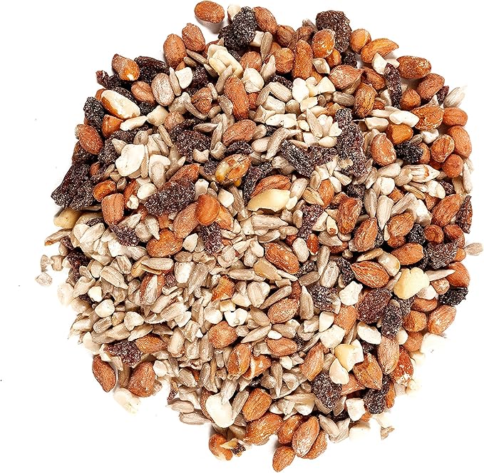 Wagner's Songbird Supreme Wild Bird Food Blend with Gourmet Nut & Fruit Mix
