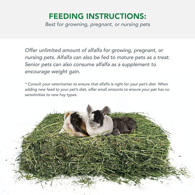 Alfalfa Hay for Rabbits & Small Pets, 10 lbs