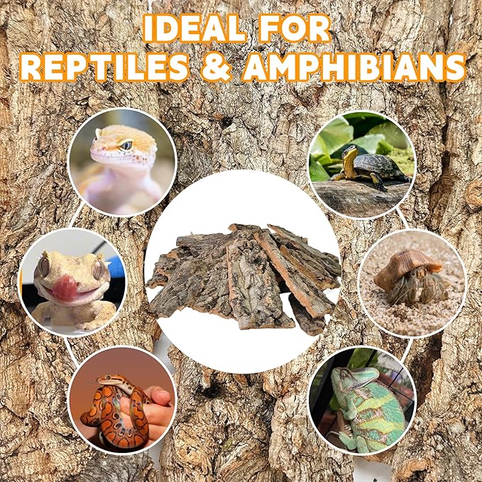 BNOSDM Reptile Terrarium Bark Substrate Bedding Tortoise 3.9-5.9in Natural Cork Bark Reptile Climbing Mat Habitat Decor for Lizard Snake Spiders Hermit Crabs Tarantula Geckos Bearded Dragons (0.7LB)
