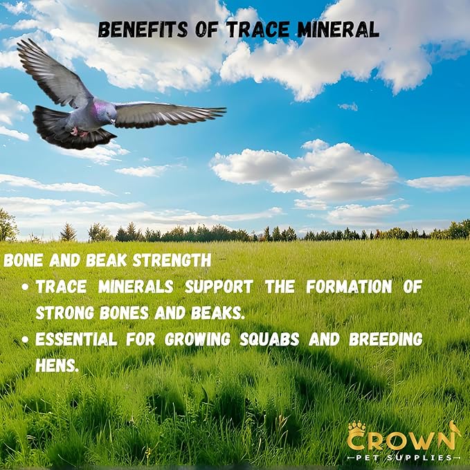 Trace Mineral Powder for Racing Pigeons & All Pigeon Breeds - Supports Physical Development, Growth, Energy, Optimal Metabolism & Overall Vitality