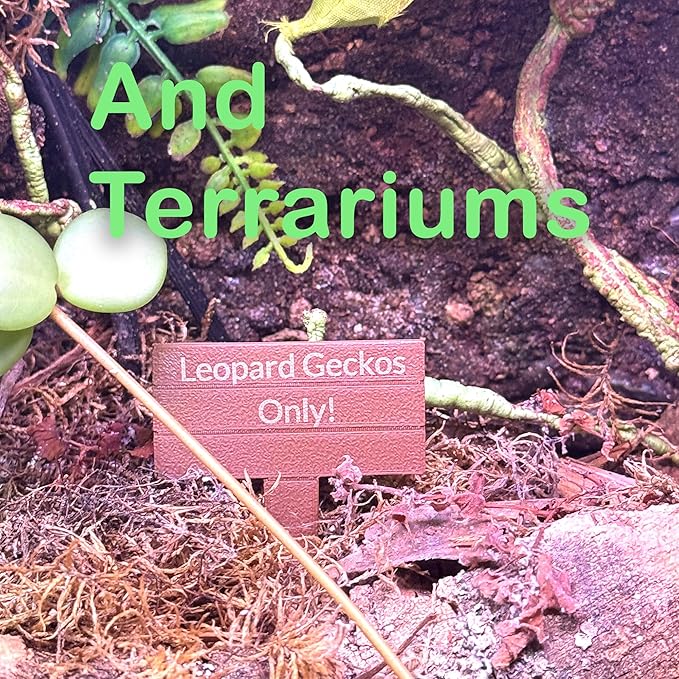 Custom Aquarium Sinking Sign, Terrarium & Reptile Safe Custom Text
