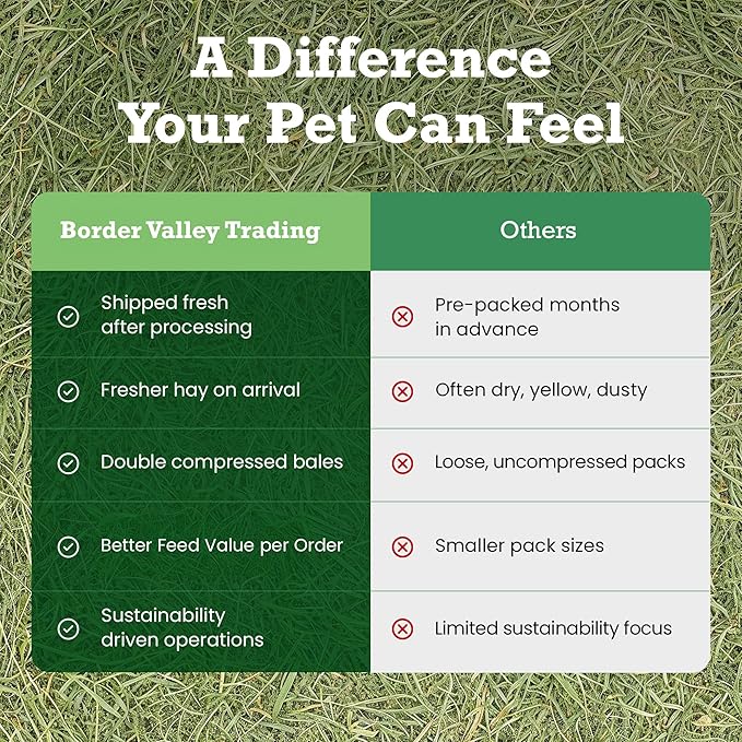 Border Valley Orchard Grass Hay Bale in Bag, 40 lb - Soft High Fiber Hay for Rabbits, Guinea Pigs, Chinchillas, Tortoises, Horses and Livestock - Leafy Grass Hay, Farm-to-Home Freshness