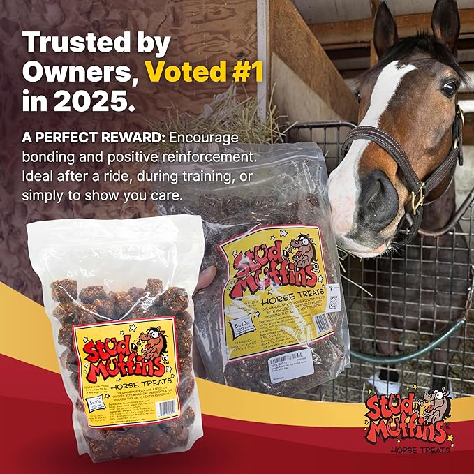 Stud Muffins 5.8lb Horse Treats Bag/Stud Muffins are Great Training Treats and Horse Pill Pockets/Our Treats for Horses are All Natural Horse Treats/Durable 5.8lb Horse Treats Bulk Pack
