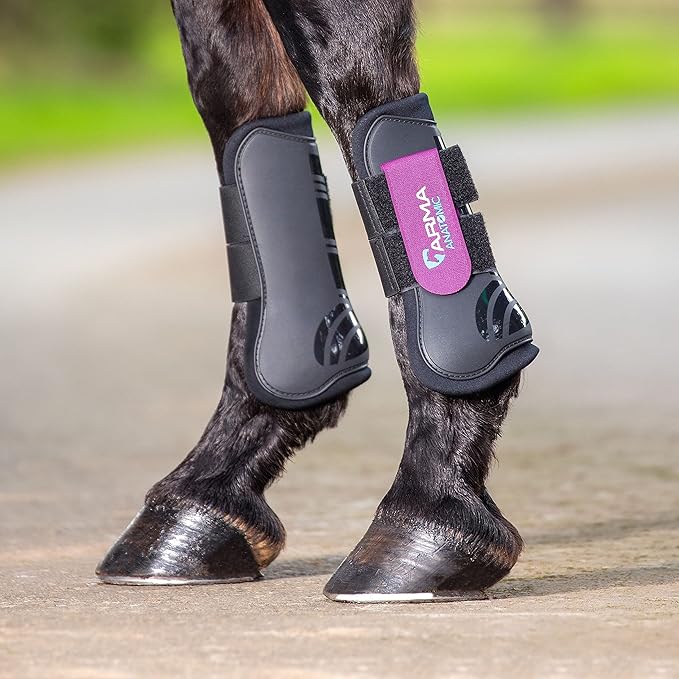 Shires ARMA Tendon Boot