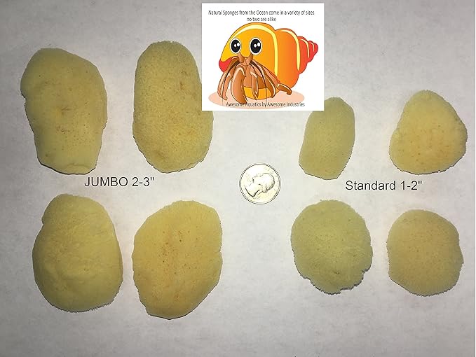 Awesome Aquatic Natural Hermit Crab Sponges 4 Pack Natural Sea Sponge Maintains Providing Humidity Helps with Drinking Water Safety Provides Minerals and Nutrients(Regular 4 pk)