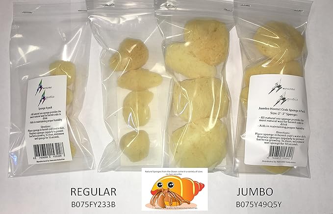 Awesome Aquatic Natural Hermit Crab Sponges 4 Pack Natural Sea Sponge Maintains Providing Humidity Helps with Drinking Water Safety Provides Minerals and Nutrients(Regular 4 pk)