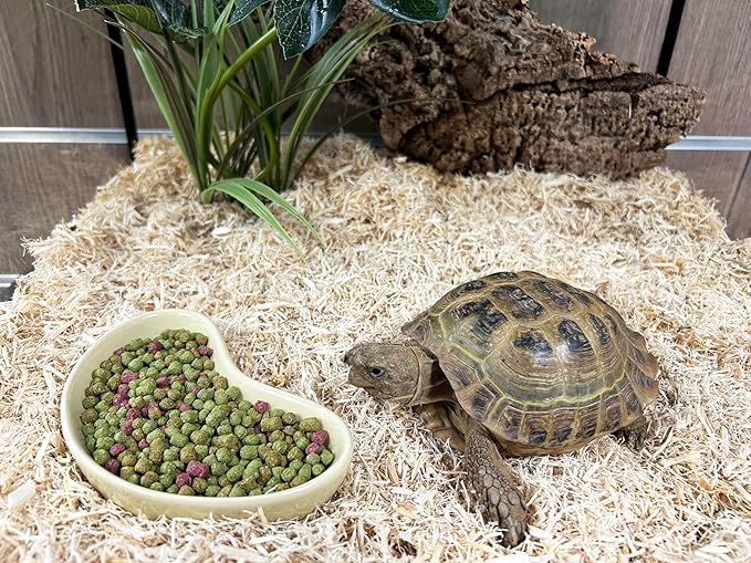 Viovet Reptile Food - Komodo Tortoise Fruit & Flower Diet 170G