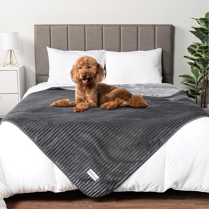 PetAmi Waterproof Dog Blanket, Leakproof Pet Blanket for Small Medium Large Dog, Reversible Furniture Bed Sofa Couch Cover Protector, Soft Striped Pet Throw for Indoor Cat, 60x80 in, Grey Light Gray