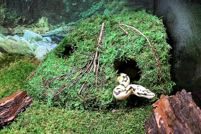Galápagos (05370) Mossy Sapa Corner Hide - The Perfect Reptile Hide for Security and Comfort - A Natural and Secure Hide for Reptiles, Amphibians, and Invertebrates, L10” x W5.5” x H4.5”