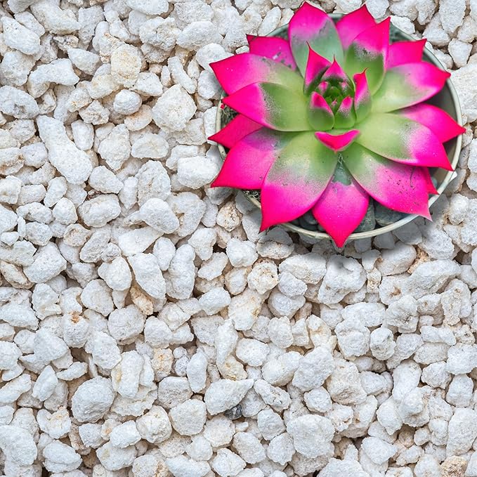 GARDENWISE Perlite for Plants, Extra Coarse Grade 4 Horticultural Perlite, Organic Perlite for Gardening Indoor & Outdoor, Made in USA (3 quarts)