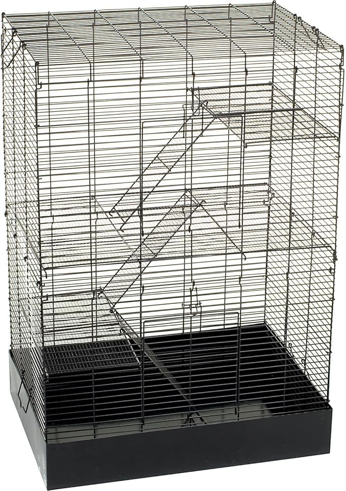 You & Me by Petco Rat Manor Habitat 16.5" L X 22.5" W X 32" H