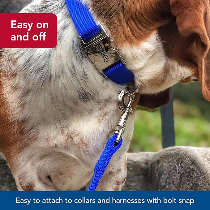 Coastal Pet Double-Ply Dog Leash - Bolt Snap Attachment to Collars and Harnesses - Nylon Dog Walking Leash for Small, Medium and Large Dogs - Purple - 1" x 6'