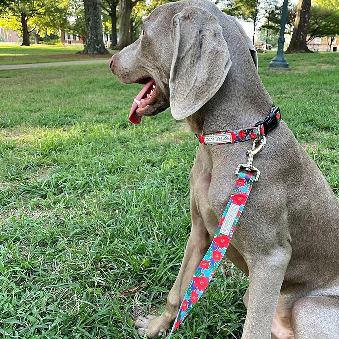 Lucky Love Dog - Adjustable Dog Collar with Easy Click Noel for Large Ones, Durable, & Comfortable for Male & Female Dogs, Pet Collar for Puppies & Adult Dogs - Noel, Large