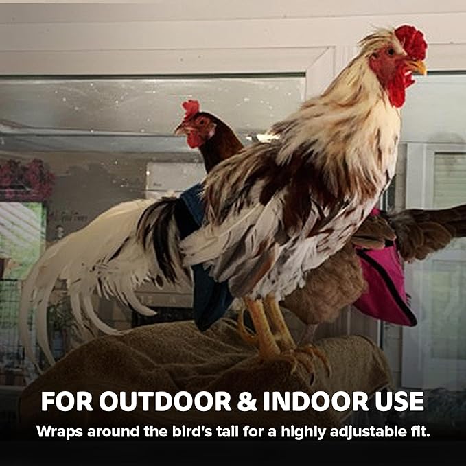 Hen Holster Wrap-Around Bird Diaper & Harness for Hens, Roosters, Ducks, Geese - with Removable Vinyl Liner, Adjustable Fit for Outdoor Adventures & Indoor Use - Easy to wear - XL, Gray