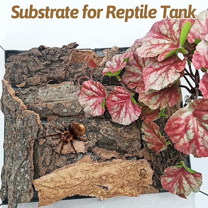 BNOSDM Reptile Cork Bark Substrate 1LB Tortoise Bedding for Habitat Natural Flat Cork Wood Bulk Terrarium Reusable Champagne Bark for Lizard, Crested Gecko, Spider, Chameleon, Ball Python, Tree Frog