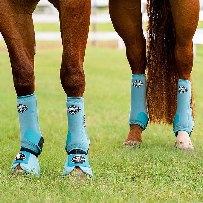 Professional's Choice 2XCOOL Sports Medicine Horse Boots | Protective & Breathable Design for Ultimate Comfort & Durability in Active Horses | Value 4 Pack