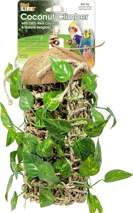 Lizard Lounger Penn-Plax Reptology for Bearded Dragons, Iguanas, and Other Reptiles - Adjustable Hanging (Coconut Climber)