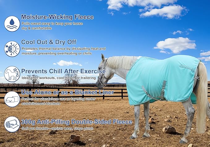 Horse Fleece Cooler, Blanket Liner - 300g Anti-Pilling Fleece, Moisture-Wicking, Cooling & Drying for Post-Workout, Bath & Travel, Prevent Overheating & Chilling Mintgreen 81