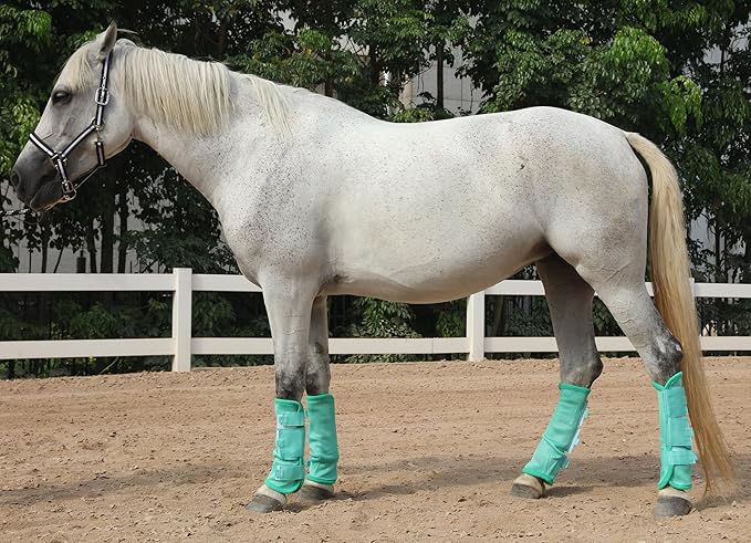 LEAFOREST Horse Fly Boots Set of 4 - Non Slip Leg Protection for Donkey Mini Pony Draft, Breathable Mesh Fly Boots for Pasture & Barn Use Green Pony