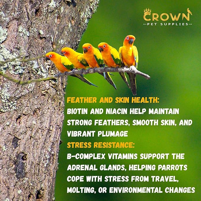 Parrot Vitamins Powder – Vitamin B Complex & C Supplement for Birds – Supports Feather Health, Appetite, Digestion, Vision, Metabolism & Reproductive Health