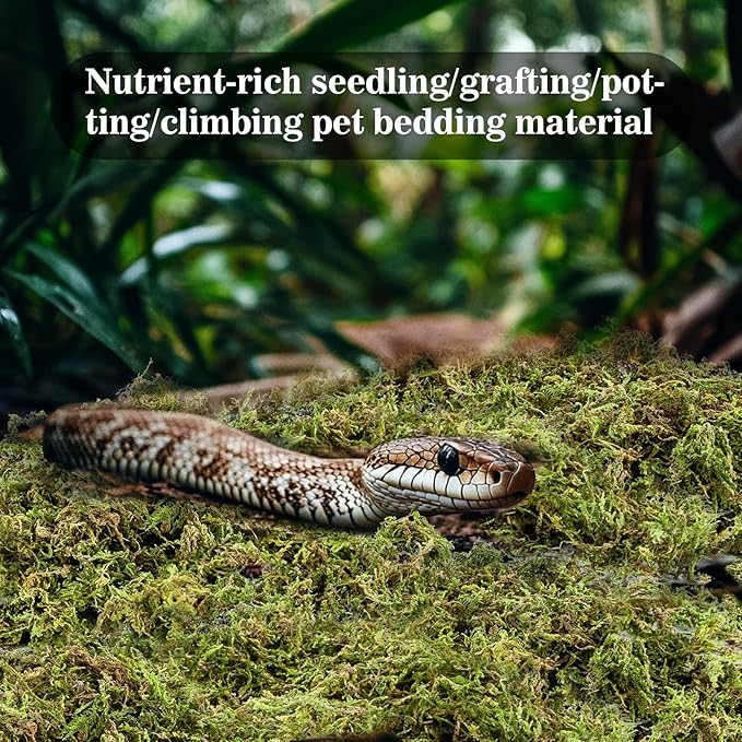 RAINFLOW Sphagnum Moss for Reptiles - 7 Oz Reptile Moss Peat Terrarium Moss Bedding Reptiles Lizard Substrate for Reptile Tank, Snake, Leopard Gecko, Ball Python, Crested Gecko, Turtle, Frog, Hamster