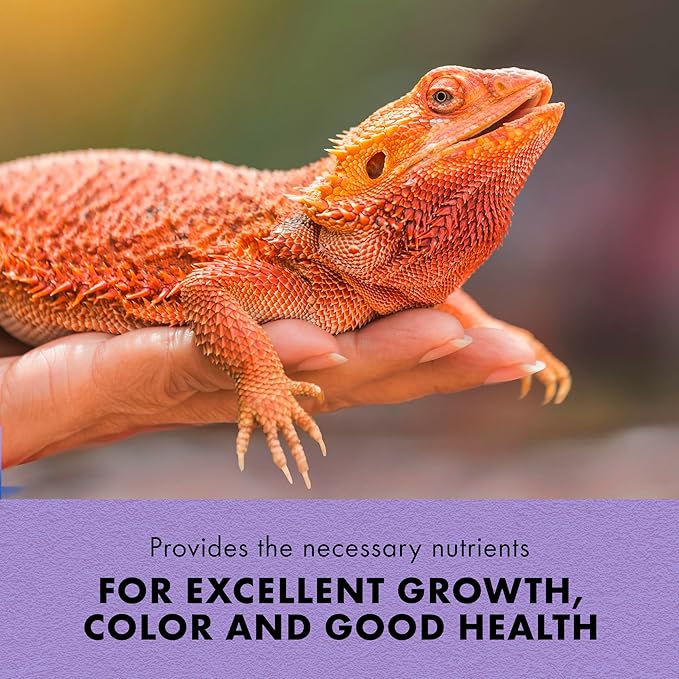 Zilla Fortified Food for Bearded Dragons, Complete Nutritional Diet, Supports Excellent Growth and Color, Extruded Pellets, 6.5 ounces