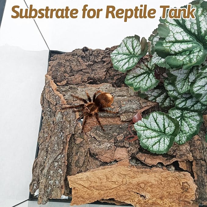 BNOSDM Reptile Cork Bark Substrate 0.6LB Tortoise Bedding for Habitat Natural Flat Cork Wood Bulk Terrarium Reusable Champagne Bark for Lizard, Crested Gecko, Spider, Chameleon, Ball Python, Tree Frog