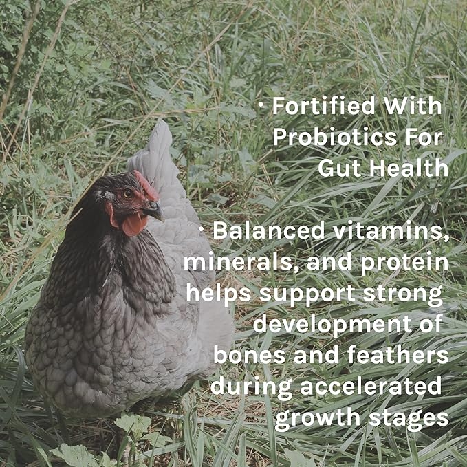 New Country Organics | Grower Feed for Growing Broilers, Pullets and Cockerels | Soy-Free and Corn-Free | 19% Protein | Certified Organic & Non-GMO | 40 lbs